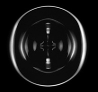 2f
