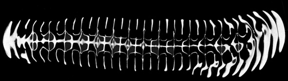 figure2c