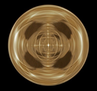 2-95-50