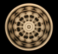 6-95-50