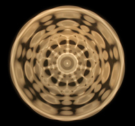 7-95-25b