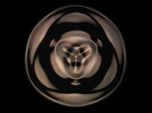 95-50-12.45-3_a